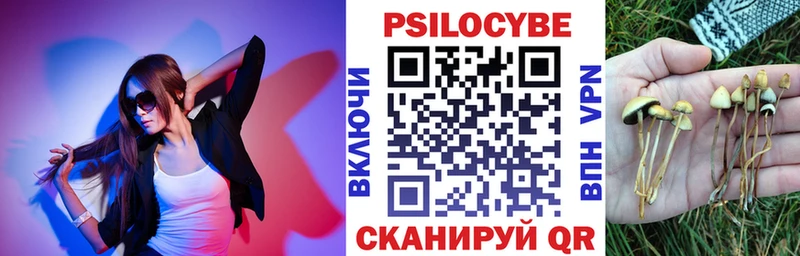 где найти наркотики блэк спрут ССЫЛКА сайты даркнета клад Кондопога Галлюциногенные грибы Psilocybe