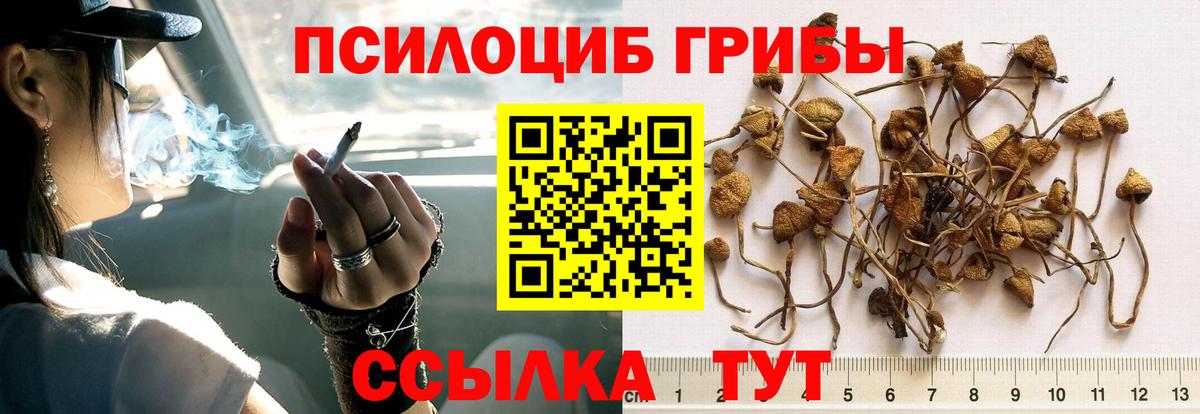 Галлюциногенные грибы прущие грибы  Псилоцибиновые грибы Cubensis  Кондопога  Вход с VPN 