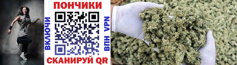 Каннабис OG Kush  купить   Кондопога 